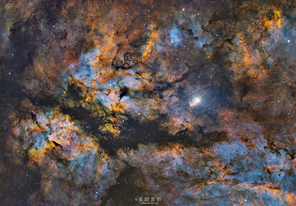 サドル周辺 – 2026年7月～8月 , e130d x2, Skywatcher EQ6R, ZWO ASI294MM Pro& Chroma 5nm Narrow Band Filter Ha:10分x53枚 Sii:10分x59枚 Oiii:10分x100枚, ZWO ASI2600MC Pro 3分x25枚(星色のみ),（総露出36時間35分）, 天文ガイド2026年11月号 入選
