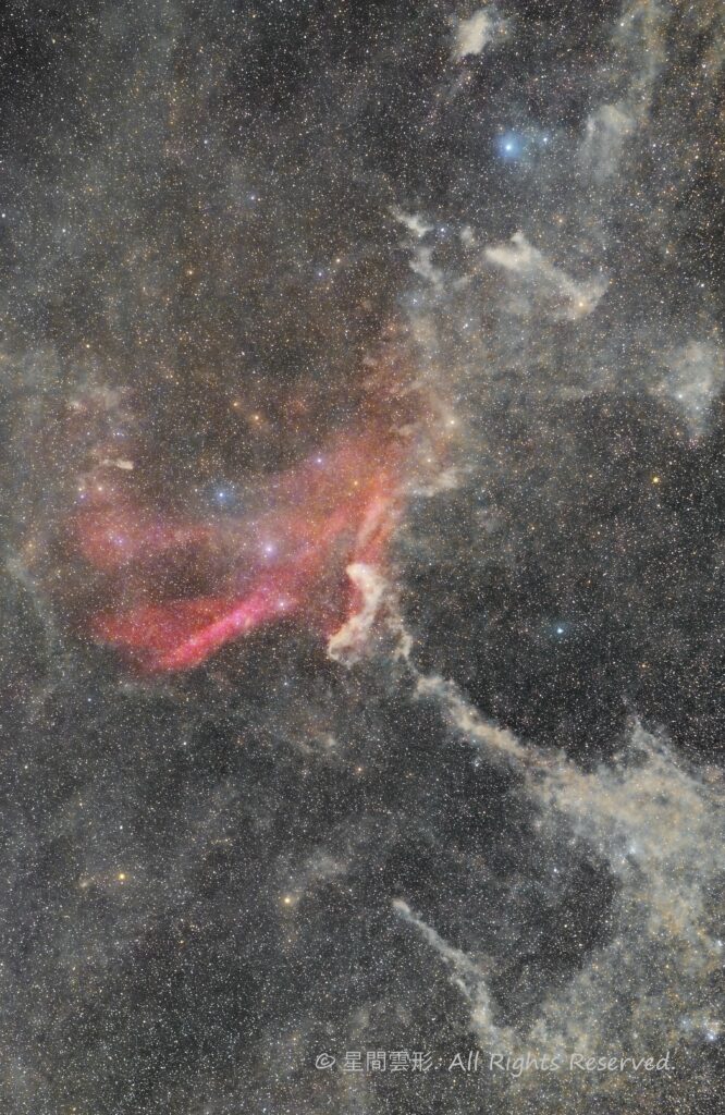 sh2-126 鷹の爪星雲 – 2021年8月– Zeiss Milvus 135mm f2 + Apo Spnnar 135mm f2, Vixen SXD2, Canon EOS6D x2台 iso1600 3min x 268 (総露光:13時間24分) , 星ナビ2021年11月号入選