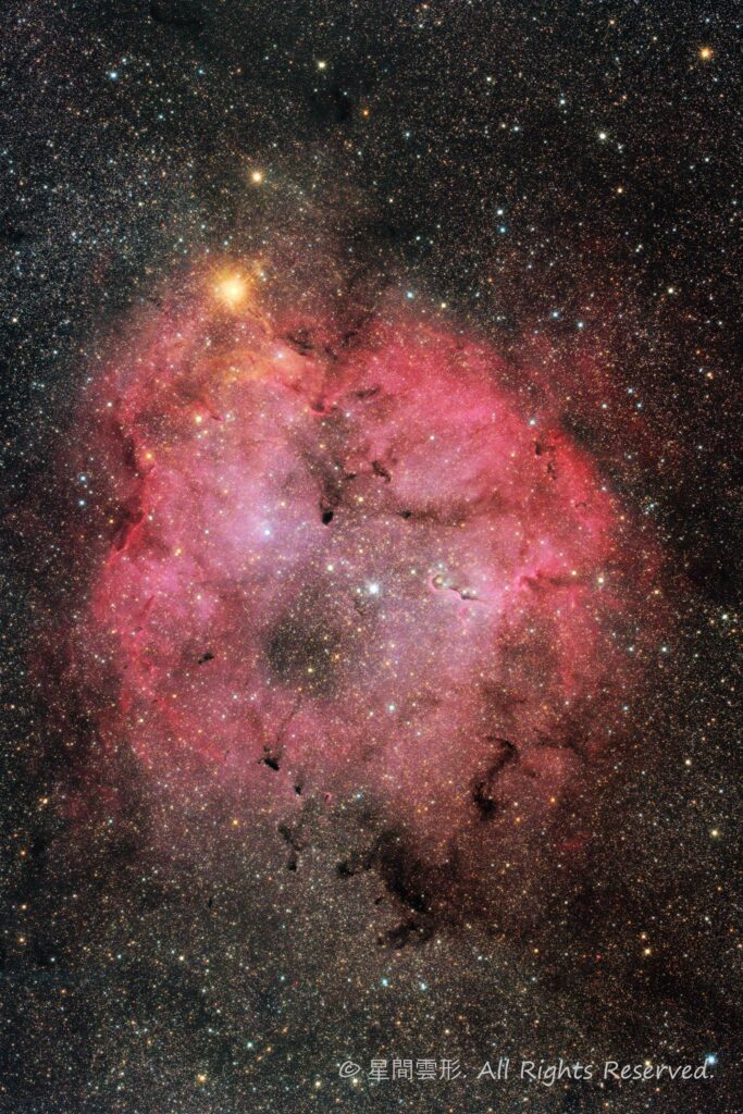 ケフェウス座IC1396 – 2020年6月, e130d, Vixen SXD2, Canon EOSR iso1600 4min x39（総露出：2時間36分）,天文ガイド2020年10月号入選
