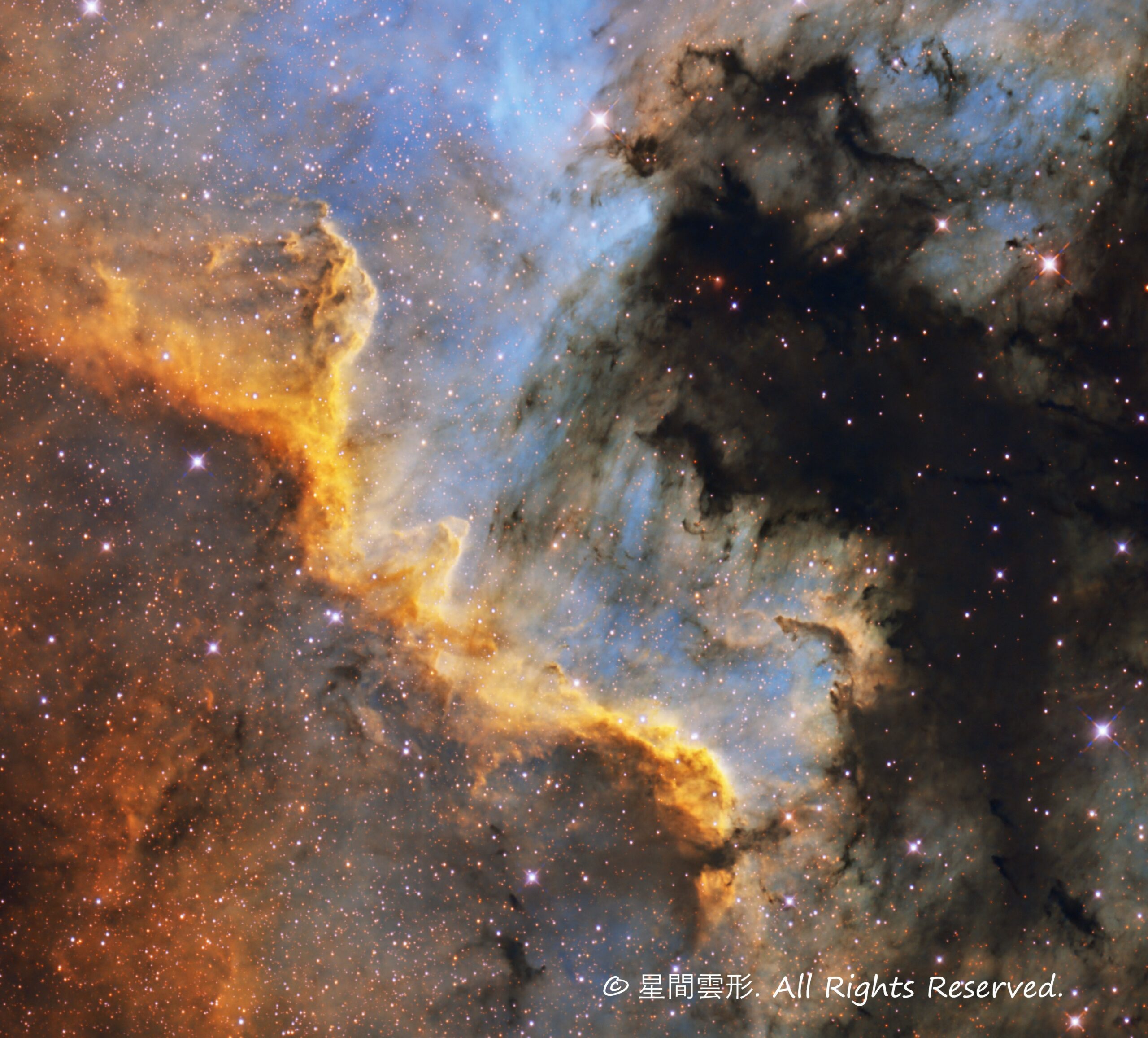 はくちょう座 NGC7000 - 星間雲形 - SEIKANUNKEI.NET