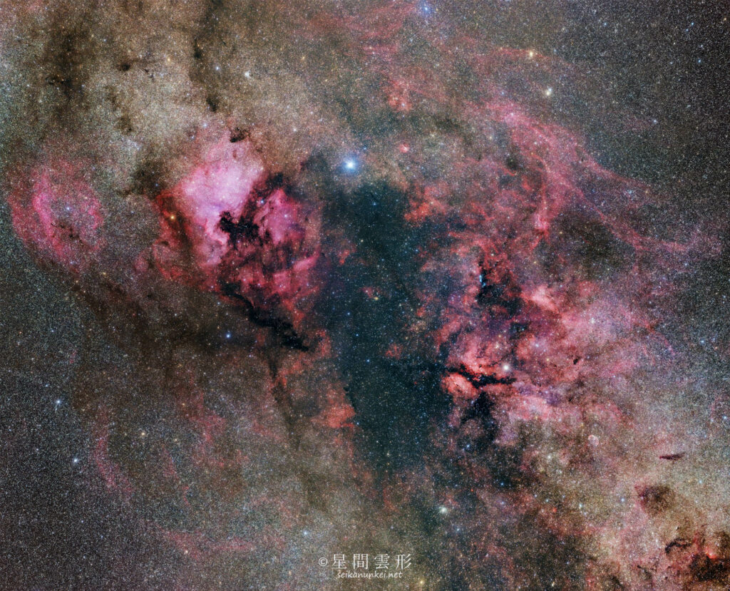 はくちょう座135mmモザイク撮影 – 2023年7月 – Zeiss Milvus 135mm f2 + Apo Spnnar 135mm f2, Vixen SXD2, Canon EOS6D iso1600 2min x 302枚 (2パネルモザイク・総露光:10時間04分)