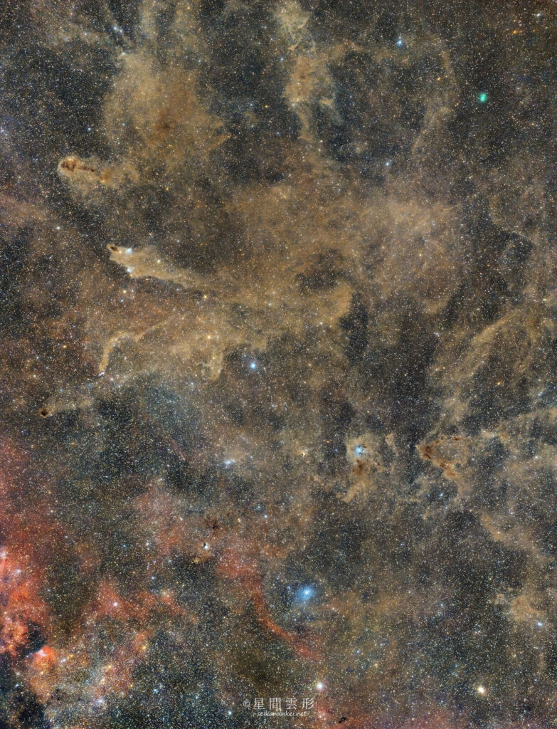 ケフェウス座の分子雲エリア – 2023年7月-8月, Zeiss Milvus 135mm f2 + Apo Spnnar 135mm f2, Vixen SXD2, Canon EOS6D x2台 iso1600 2.5min x 343 (2パネルモザイク　総露光時間： 14時間17分30秒)