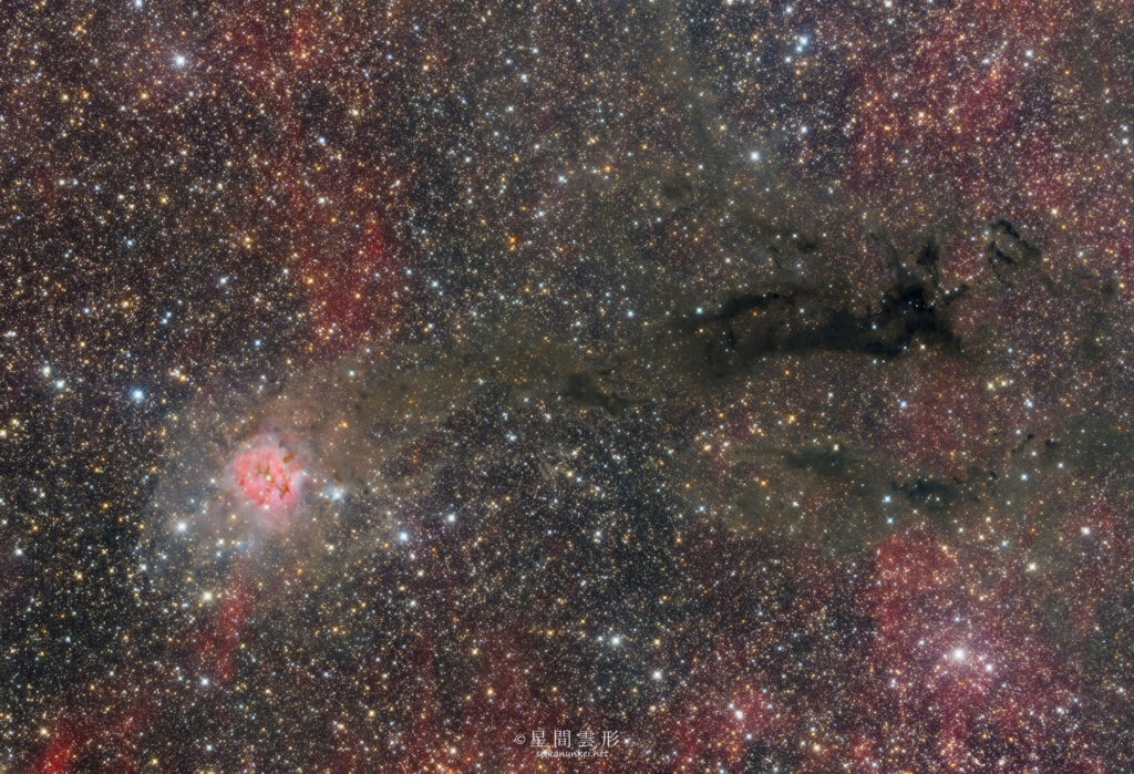 まゆ星雲（IC5146）と暗黒星雲 – 2023年8月 , e130d x2, Skywatcher EQ6R, ZWO ASI294MM Pro& Astrodon LRGB Filter L: 5minx155, , Baader 6.5nm High Speed Narrow Band Filter, Ha 7min x 131, ZWO ASI2600MC Pro 5minx161,（総露出41時間37分）