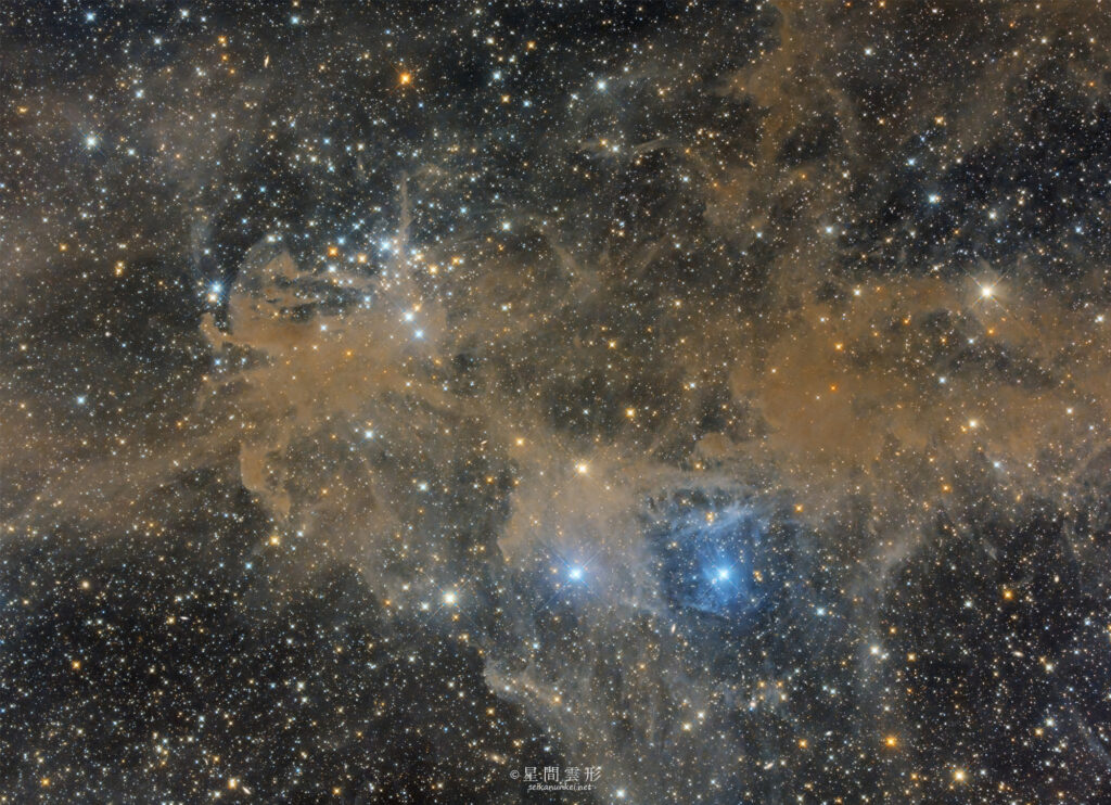 NGC1342からVDB18にかけて – 2023年9月-10月 , e130d x2, Skywatcher EQ6R, ZWO ASI294MM Pro& Astrodon LRGB Filter L: 5minx152, ZWO ASI2600MC Pro 5minx155,（総露出23時間35分）