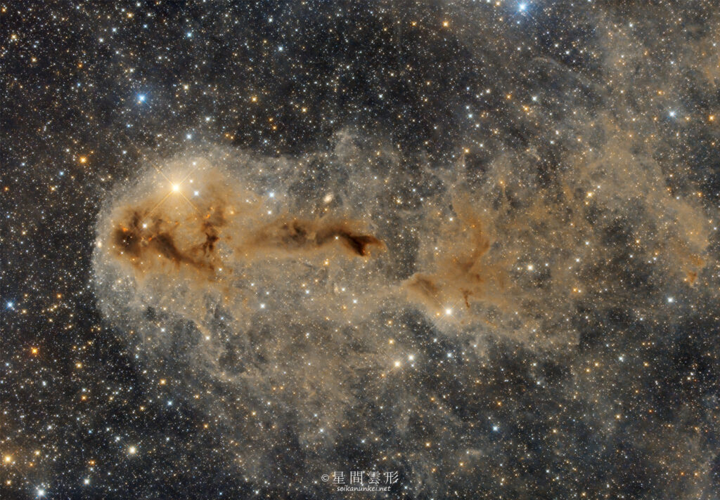 LDN1251 – 2023年10月 , e130d x2, Skywatcher EQ6R, ZWO ASI294MM Pro& Astrodon LRGB Filter L: 5minx255, ZWO ASI2600MC Pro 5minx261,（総露出43時間00分）, 天文ガイド2024年2月号 入選