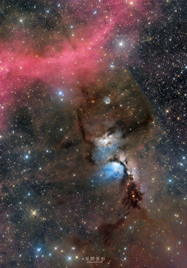 M78 – 2023年11月 , e130d x2, Skywatcher EQ6R, ZWO ASI294MM Pro& Astrodon LRGB Filter L: 5minx132, ZWO ASI2600MC Pro 5minx134,（総露出22時間10分）