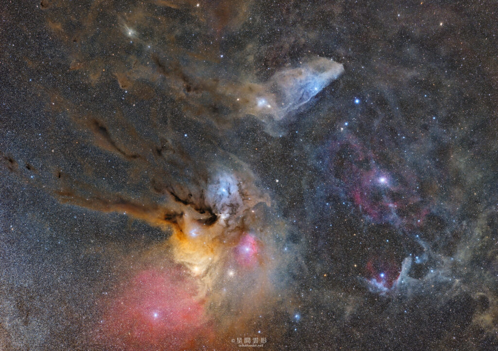 NORTHERN SCORPIUS – 2024年5月, Zeiss Milvus 135mm f2 + Apo Spnnar 135mm f2, Vixen SXD2, Canon EOS6D x2台 iso1600 2.5min x 206 (2パネルモザイク　総露光時間： 8時間35分), 星ナビ2024年8月号 入選