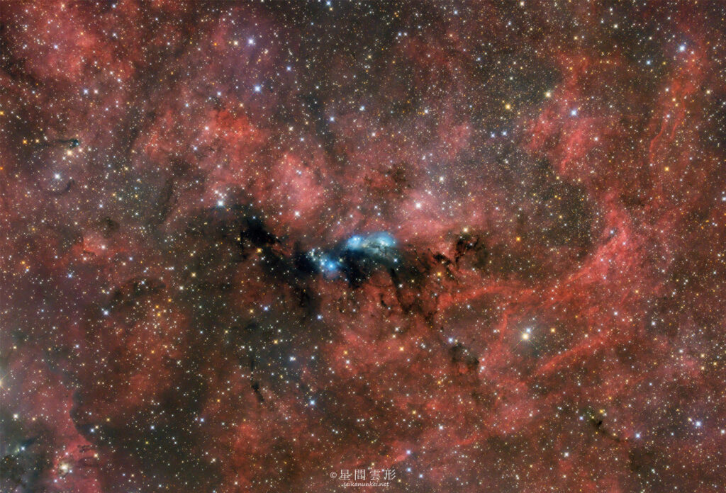 NGC6914 RGB – 2024年4月-5月 , e130d, Skywatcher EQ6R, ZWO ASI2600MC Pro 5minx 153,（露出12時間45分）