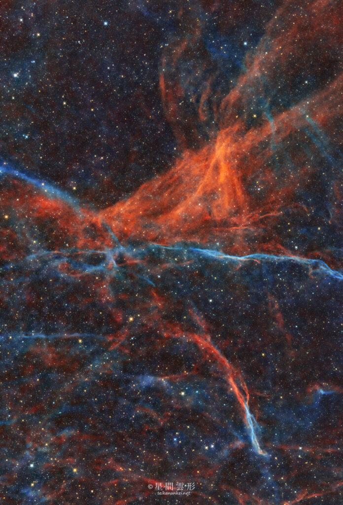 sh2-96 – 2024年5月-7月 e130d x2, Skywatcher EQ6R, ZWO ASI294MM Pro, Baader 6.5nm High Speed Narrow Band Filter, Ha 7min x 54, Sii 10min x 30, Oiii: 10min x 114, ZWO ASI2600MC Proカラー: 3分 x 40枚※星色のみ,（総露出32時間18分）, 星ナビ2024年10月号 入選