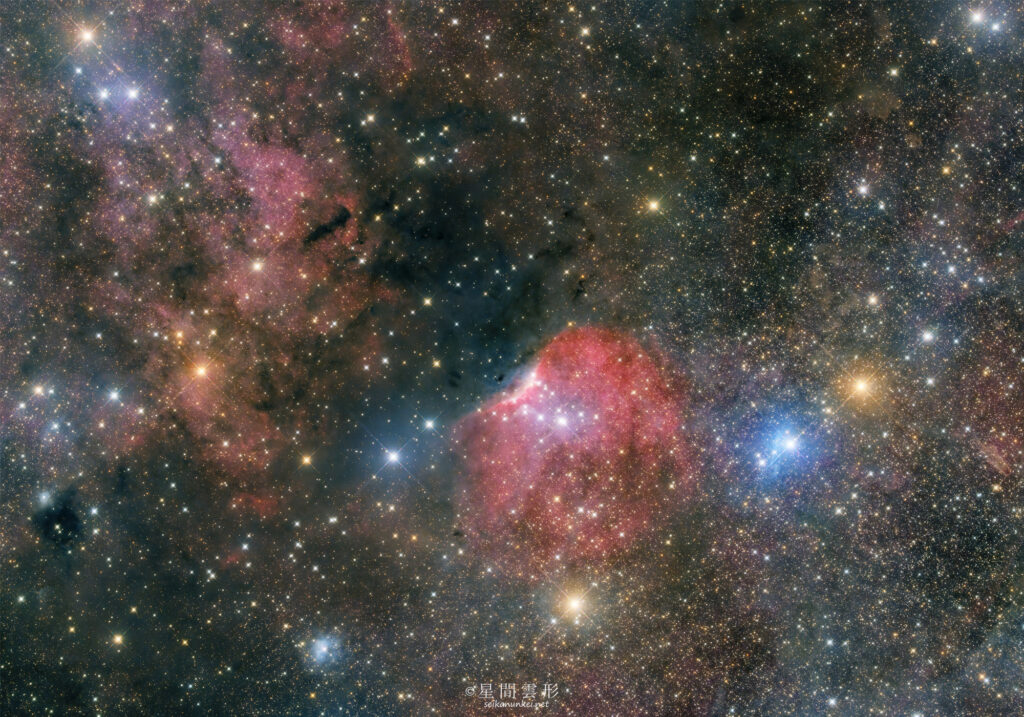 sh2-140 – 2024年8月 , e130d x2, Skywatcher EQ6R, ZWO ASI294MM Pro& Astrodon LRGB Filter L: 5minx199, ZWO ASI2600MC Pro 5minx197,（総露出33時間00分）