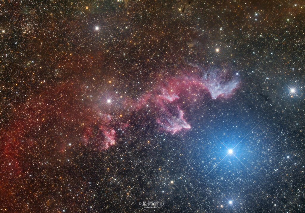 IC59IC63 – 2024年8月-9月 , e130d x2, Skywatcher EQ6R, ZWO ASI294MM Pro& Astrodon LRGB Filter L: 3minx472, ZWO ASI2600MC Pro 3minx474,（総露出47時間18分）