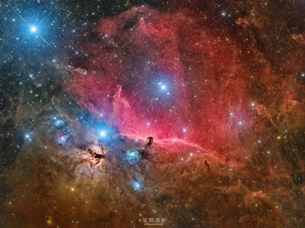 馬頭星雲(IC434) , – 2024年11月 , e130d x2, Skywatcher EQ6R, ZWO ASI294MM Pro& Astrodon LRGB Filter L: 5minx150枚(2枚モザイク), ZWO ASI2600MC Pro 5minx 152枚(2枚モザイク),（総露出15時間06分）, 星ナビ2025年3月号 入選