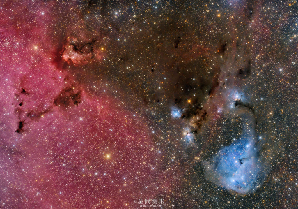 IC447_IC2169 – 2024年12月 , e130d x2, Skywatcher EQ6R, ZWO ASI294MM Pro& Astrodon LRGB Filter L: 3minx358 + Baader 6.5nm High Speed Narrow Band Filter Ha 10min x 63, ZWO ASI2600MC Pro 3min x 383,（総露出47時間33分）