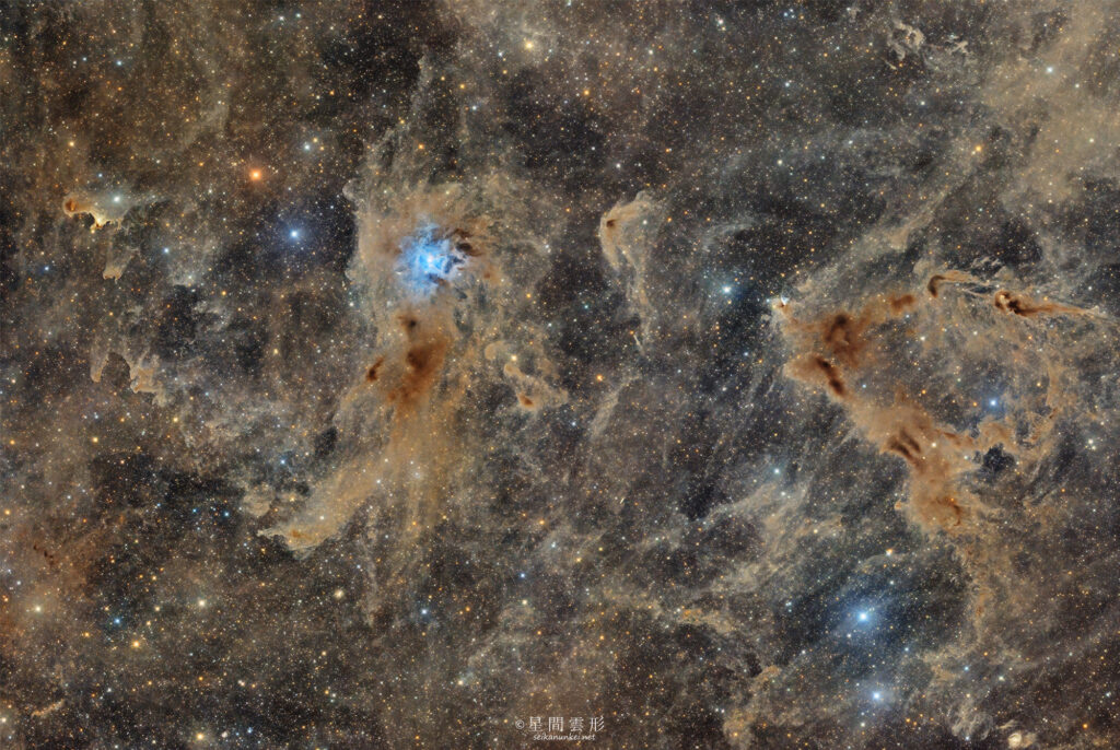 Cepheus – 2025年5月～6月 , e130d x2, Skywatcher EQ6R, ZWO ASI294MM Pro& Astrodon LRGB Filter L: L: 3分 x 62～65枚 x 4枚モザイク, ZWO ASI2600MC Pro 3min x 3分 x 62～65枚 x 4枚モザイク,（総露出25時間15分）, 天文ガイド2025年10月号 入選