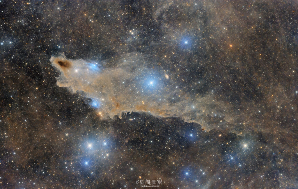 LDN1235 shark nebula – 2025年7月～8月 , e130d x2, Skywatcher EQ6R, ZWO ASI294MM Pro& Astrodon LRGB Filter L: L: 5分 x 54～69枚 x 3枚モザイク, , ZWO ASI2600MC Pro 5分 x 54-73枚 (3枚モザイク),（総露出30時間00分）, 天文ガイド2025年11月号 入選
