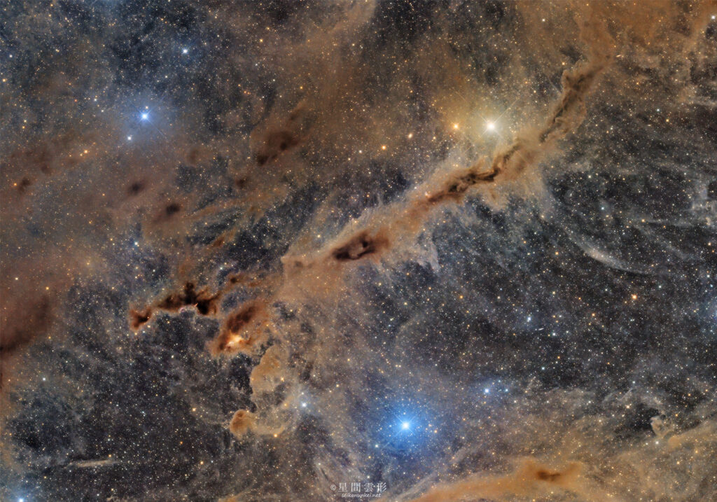 LBN788～LDN1495 – 2025年10月 , e130d x2, Skywatcher EQ6R, ZWO ASI294MM Pro& Astrodon LRGB Filter L: 5分 x 70～75枚 x 4枚モザイク, ZWO ASI2600MC Pro 5分 x 70～75枚 x 4枚モザイク,（総露出47時間40分）, 天文ガイド2026年2月号 入選
