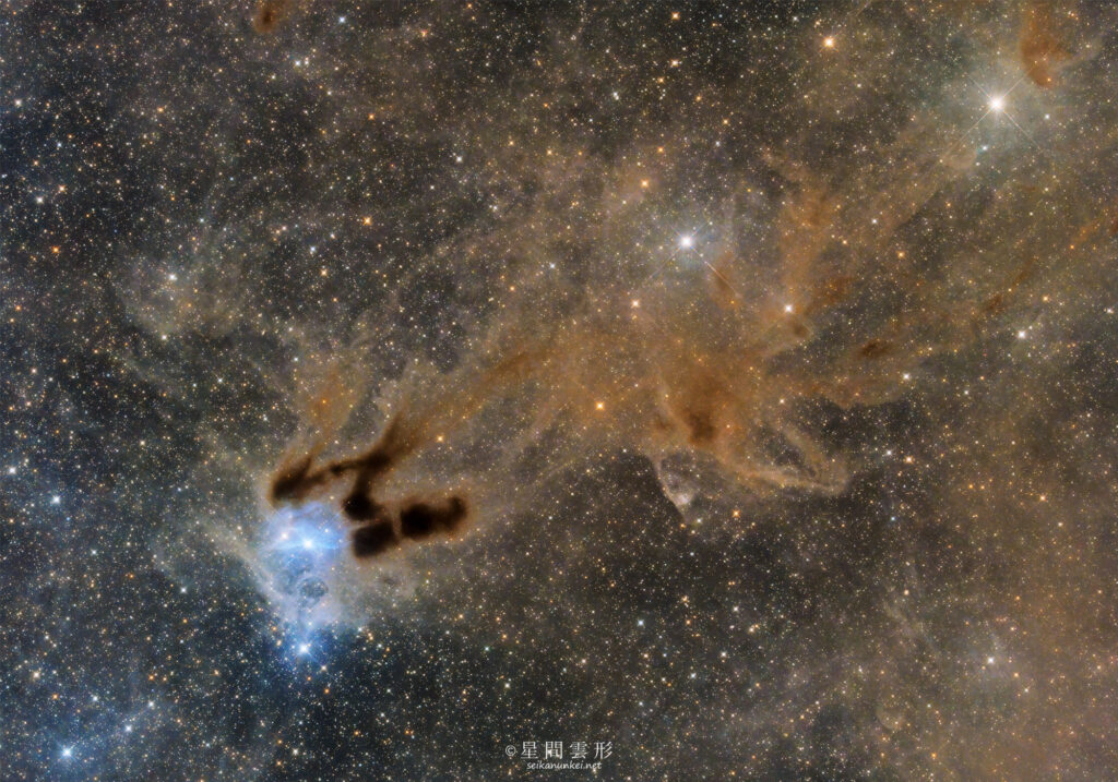 vdB31 – 2025年11月 , e130d x2, Skywatcher EQ6R, ZWO ASI294MM Pro& Astrodon LRGB Filter L: 5分 x 147枚, ZWO ASI2600MC Pro 5分 x 148枚,（総露出24時間35分）