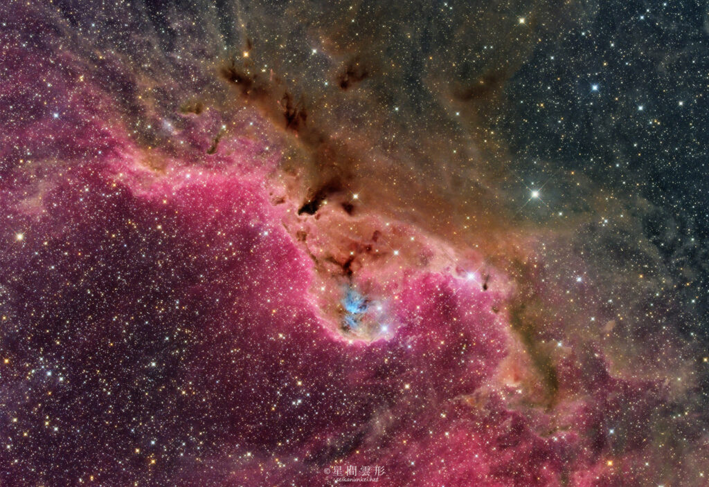 Ced51 – 2025年11月～12月 , e130d x2, Skywatcher EQ6R, ZWO ASI294MM Pro& Astrodon LRGB Filter L: 3分 x 627枚 + Chroma 5nm Narrow Band Filter Ha: 10分 x 117枚 , ZWO ASI2600MC Pro Color: 5分 x 408枚,（総露出84時間51分）