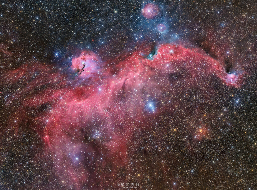 IC2177 – 2025年12月 , e130d x2, Skywatcher EQ6R, ZWO ASI294MM Pro& Astrodon LRGB Filter L: 3分x 262～274枚, 2枚モザイク(計536枚) + Chroma 5nm Narrow Band Filter Ha: 10分x 21～25枚, 2枚モザイク(計46枚) , ZWO ASI2600MC Pro Color: 5分x 155～170枚, 2枚モザイク(計325枚),（総露出61時間33分）