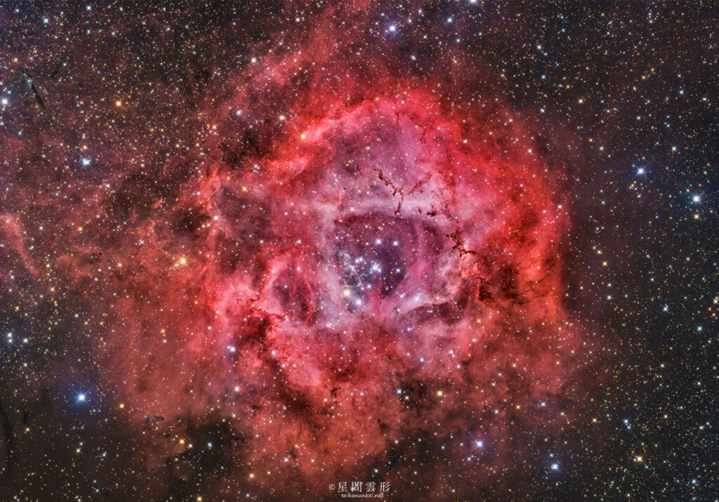 NGC2237 – 2025年11月 , e130d x2, Skywatcher EQ6R, ZWO ASI294MM Pro& Astrodon LRGB Filter L: 3分 x 110枚 + Chroma 5nm Narrow Band Filter Ha: 10分 x 64枚 , ZWO ASI2600MC Pro Color: 5分 x 145枚,（総露出28時間15分）