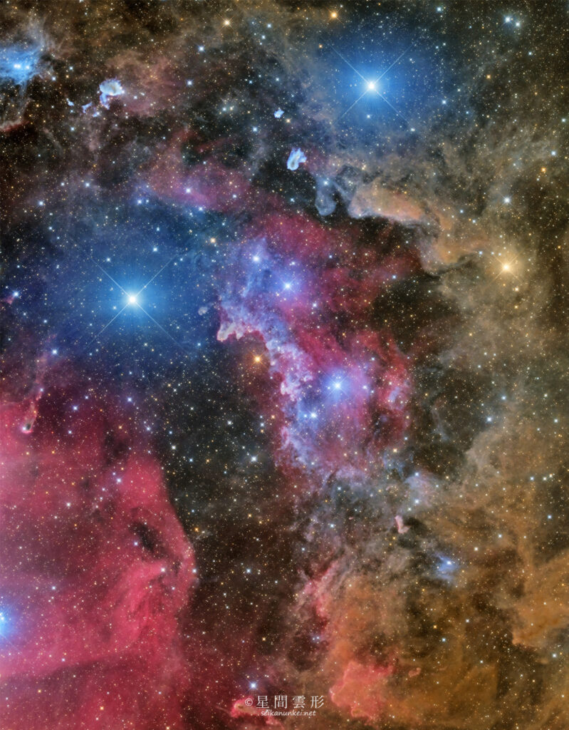 NGC1990 – 2026年1月 , e130d x2, Skywatcher EQ6R, ZWO ASI294MM Pro& Astrodon LRGB Filter L: 3分 x 294～304枚 x 2枚モザイク, ZWO ASI2600MC Pro 5分 x 186枚 x 2枚モザイク,（総露出60時間54分）, 天文ガイド2026年5月号 入選